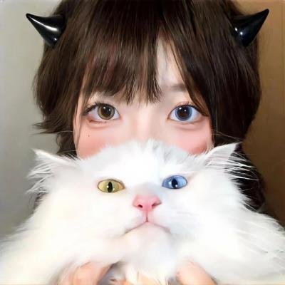 旋风骑士